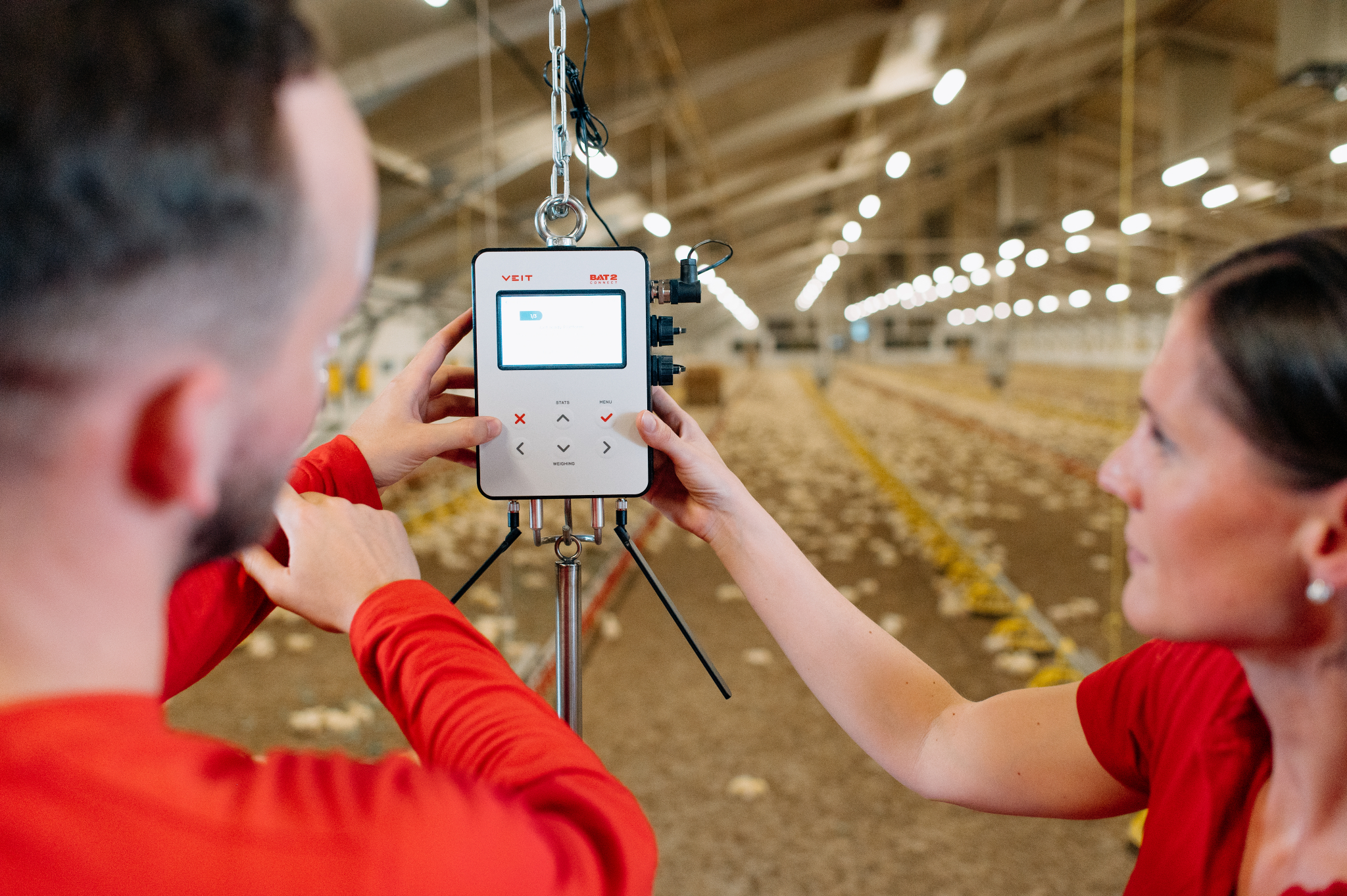 Video: The future of poultry weighing is here