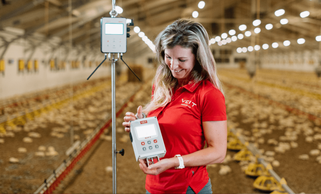 5 Core Challenges in Manual Poultry Weighing - Poultryscales