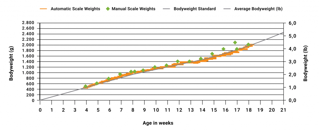 Bodyweight chart