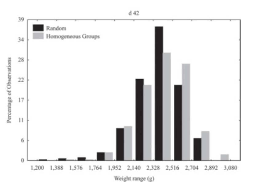 a series of box plots comparing the body weight distributions of chicks at 42 days for different placement methods of 1-day-old chicks, as studied by Neto et al., 2013. The x-axis will represent the different placement methods, with each method labeled accordingly, while the y-axis will represent the body weight at 42 days in grams. Each placement method will have its own box plot, featuring the interquartile range (IQR) box, a median line, whiskers extending to the smallest and largest values within 1.5 times the IQR, and any outliers shown as individual points. The title will be "Comparisons of Body Weight Distributions of Chicks at 42 Days for Different Placement Methods," with x-axis labeled "Placement Methods of 1-Day-Old Chicks" and y-axis labeled "Body Weight at 42 Days (grams)." Different colors or shades will distinguish each placement method's box plot, with a clean and professional style ensuring readability, and a legend or annotations included as needed for additional information or highlighting key findings.