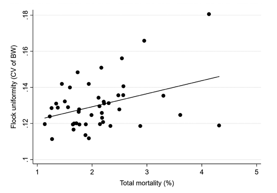 This picture is a scatter plot depicting the association between flock uniformity (CV of bodyweight in %) and total mortality (%). The x-axis represents total mortality in percentages, ranging from 1% to 5%, and the y-axis represents flock uniformity, measured as the coefficient of variation (CV) of bodyweight, ranging from 0.1 to 0.18. Each black dot on the plot represents a data point, with several dozen points distributed across the plot. A trend line is fitted through the data points, showing a slight positive correlation between total mortality and flock uniformity. This suggests that as total mortality increases, flock uniformity (CV of bodyweight) tends to increase slightly.