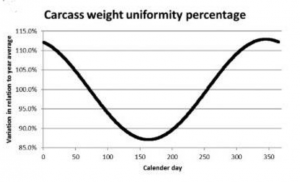 The Effect of Season on Carcass Weight Uniformity. The X-axis in Figure 3 represents the day of the year when day-old chickens were housed, and the Y-axis indicates the variation in relation to the annual average, set at 100%