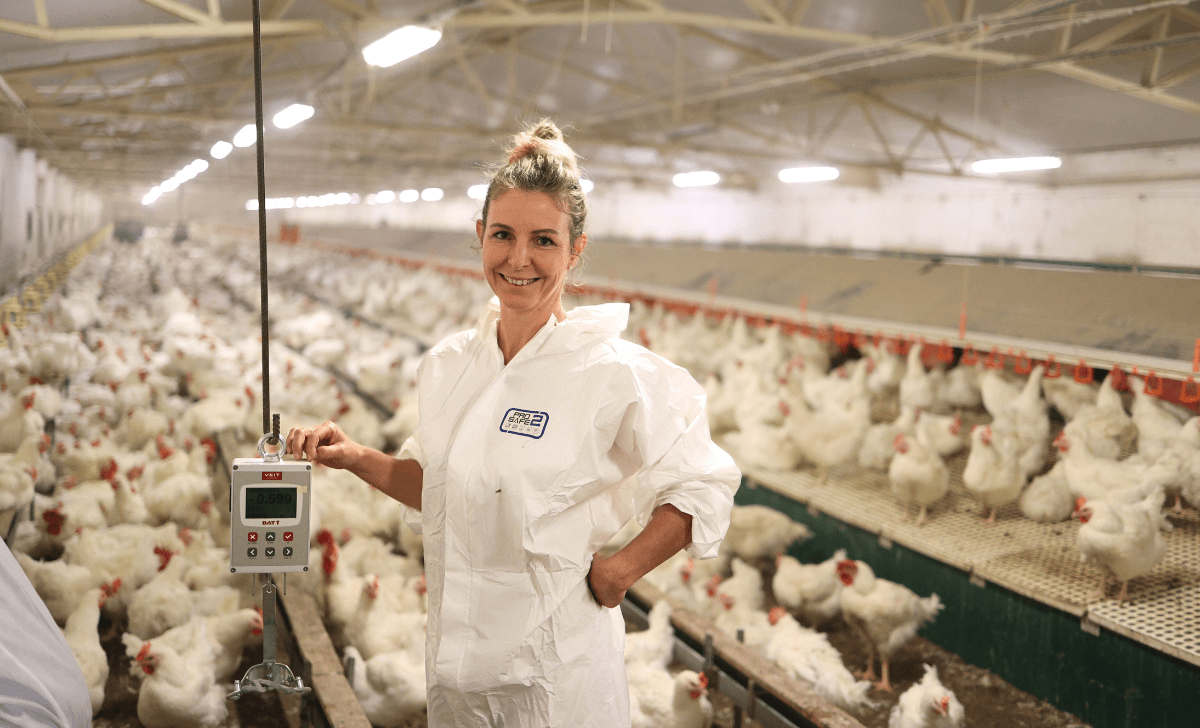 A lady standing at a poultry farm in parent stock near hanged BAT1 manual bird scale
