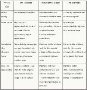  Litter turning outcomes based on various starting conditions