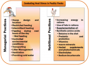 Recapitulation of the HS management methods (Saeed et al., 2019)