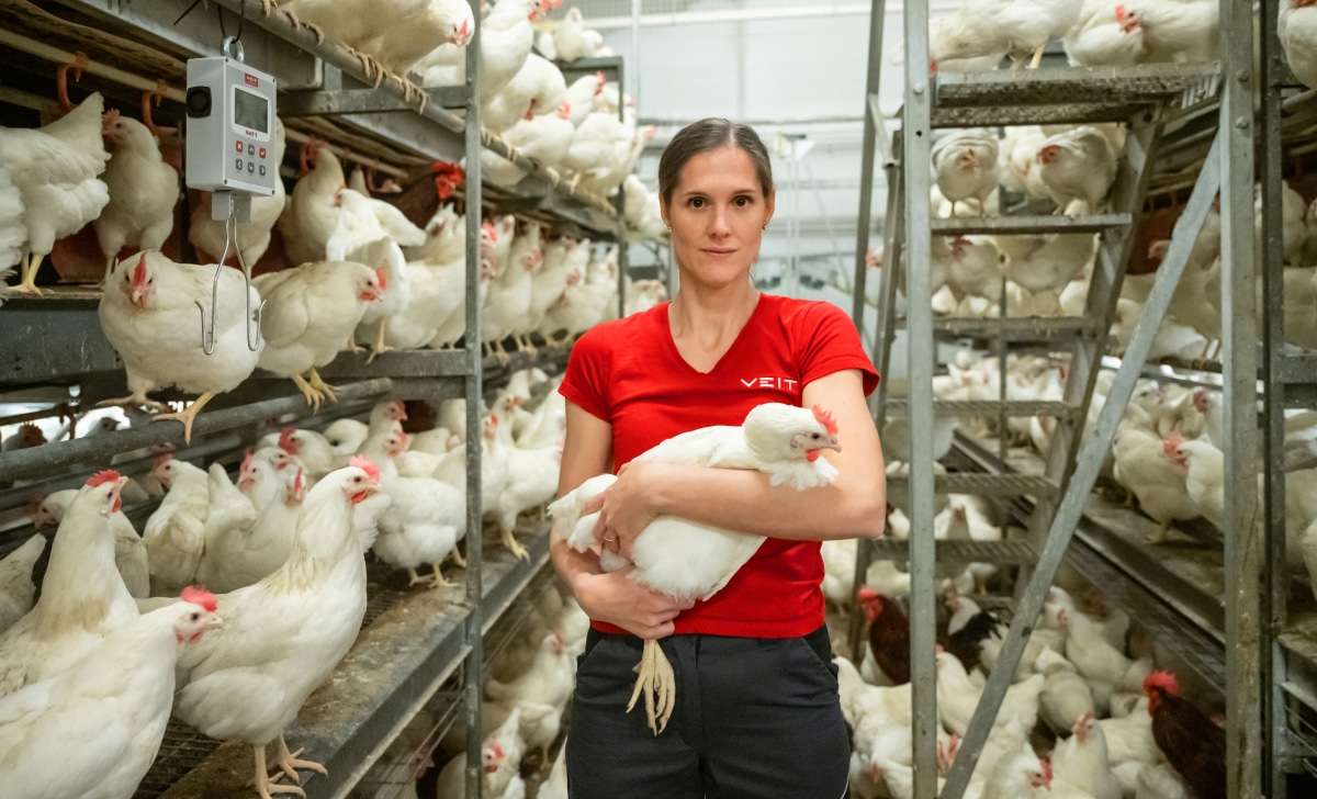 Kobieta trzymająca kurę